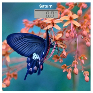 Ваги Saturn ST-PS0298