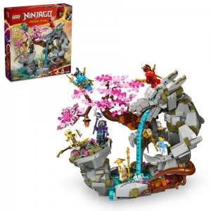 Конструктор LEGO NINJAGO Храм каменю дракона (71819)