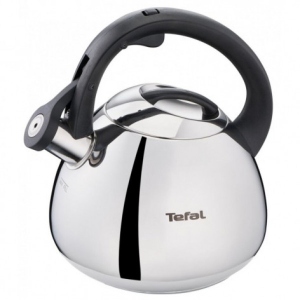 Чайник металевий Tefal K2481574