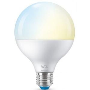 придбати Розумна лампа WiZ E27 11W G95 2700-6500K Wi-Fi (929002451002)