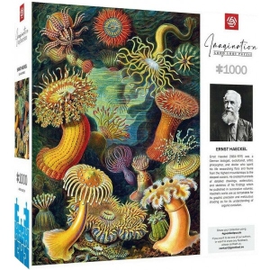 Пазли картонні (8 +) Good Loot Imagination: Ernst Haeckel: Sea Anemones/Stworzenia morskie Puzzles 1000 шт. (5908305244943) офіційний магазин
