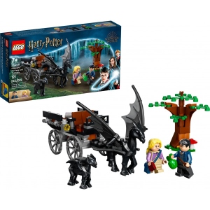 Конструктор LEGO Harry Potter TM Hogwarts™ Карета та Тестрали (76400)
