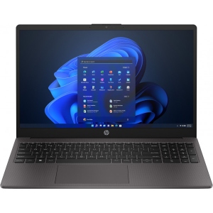 Ноутбук HP 255-G10 (817W1EA) Dark Ash Silver