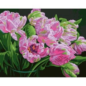 Картина за номерами Santi Вишукані тюльпани 40x50 см (954500)
