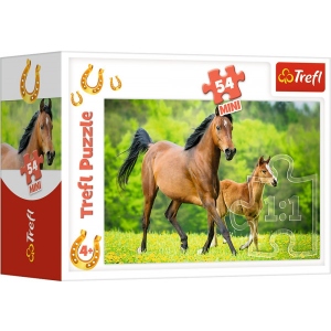 Пазли картонні (3-4 роки) Trefl Сім'я "Гарні коники" / (54193) (54 ел. міні) (19725)