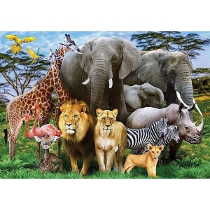 Пазли картонні (8 +) Danko-Toys "ANIMAL PLANET" 1000 ел. (C1000-10-09)