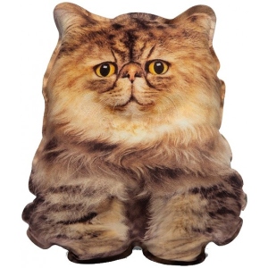 М'яка іграшка подушка Surpriziki Stuffed Toy Перська усміхнений кошеня (PT3D-08)