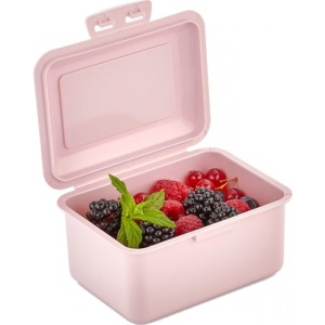 Ланч-бокс QLUX Junior MIX 12x9x6 см (L-00325)
