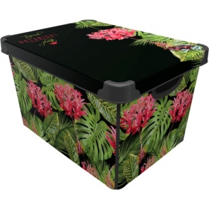 купити Корзина для зберігання Qutu Style Box с/к Botanic 20 л