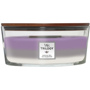 Свічка скло Woodwick Ellipse Trilogy Amethyst Sky (Аметистовое небо) 453г (1707525E)
