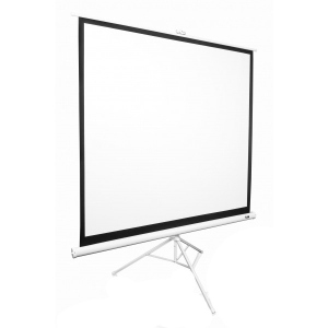 Екран Elite Screens T99NWS1
