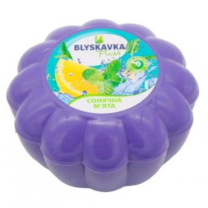Освіжувач повітря аерозольний BLYSKAVKA Сонячна м'ята (4820214190733)