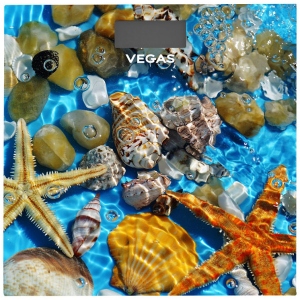 Ваги Vegas VFS-3080FS