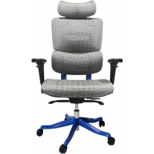 Крісло для геймерів GT Racer X-626 Gray/Blue
