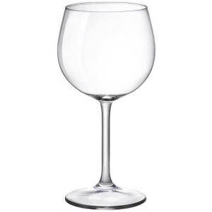 Набір келихів Bormioli Rocco Riserva Barolo 6x480 мл (167231GRC021990)