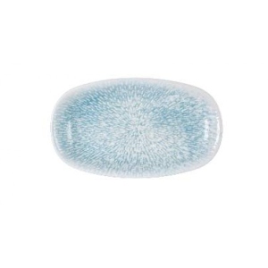 Блюдо Wilmax Coral Blue.Graphics 20х11 см (WL-671642 / A)