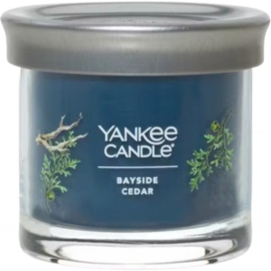 Свічка скло Yankee Candle Small Bayside Cedar (Прибережний Кедр) 122 г (1744755E)