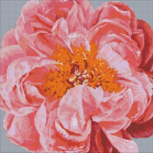 Алмазний живопис Идейка "Pink kiss" 40х40см (AMO7079)