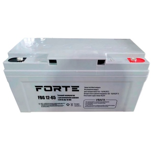 Акумулятор для ДБЖ Forte FBG12-65