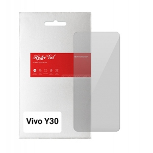 Захисна плівка для смартфону Armorstandart for Vivo Y30 (ARM63060)