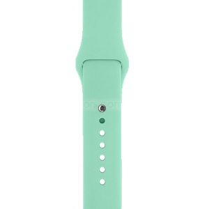 Ремінець для смарт-годинника Armorstandart Sport Band (3 Straps) for Apple Watch 38/40/41mm Succulent (ARM65081)