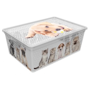 Короб для зберігання Qutu Light Box з/к Cats and Dogs 10 л