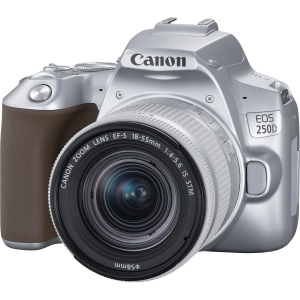Фотокамера дзеркальна Canon EOS 250D kit 18-55 IS STM Silver (3461C003)