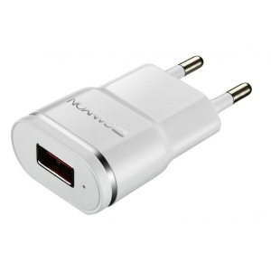 Мережевий зарядний пристрій Canyon 1хUSB 1A White Silver (CNE-CHA01WS)