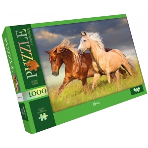 Пазли картонні (8 +) Danko-Toys "Spirit" 1000 ел. (C1000-11-05)