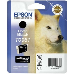Картриджі для струменевих принтерів Epson StPhoto R2880 photo black (C13T09614010) офіційний магазин