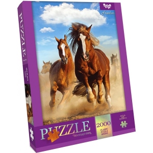 Пазли картонні (8 +) Danko-Toys Freedom 2000 ел. (C2000-01-06)