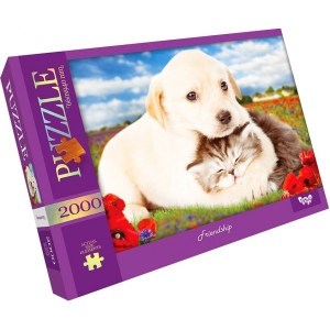 Пазли картонні (8 +) Danko-Toys Friendship2000 ел. (C2000-01-09)