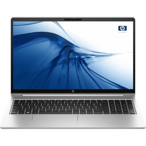 Ноутбук HP ProBook 455 G10 (719F8AV_V1) Silver