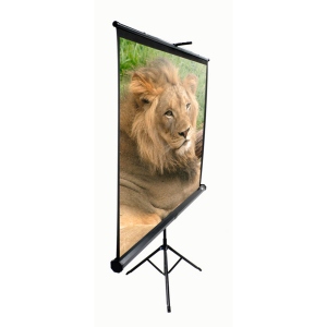 Екран Elite Screens T85UWS1
