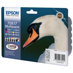 Epson TO8174A bundle