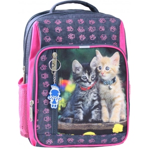 Рюкзак шкільний Bagland 8 л 321 Сiрий 143 д
