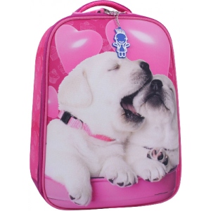 Рюкзак шкільний Bagland Turtle 17 л 0013470 143 Малина 593