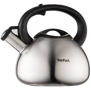 Чайник металевий Tefal C7921024 2.5 л