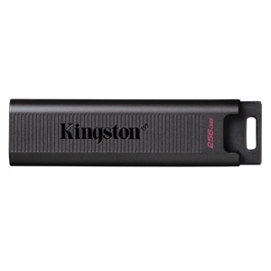 Флеш USB Kingston 256GB USB3.2 Gen 2 DataTraveler Max (DTMAX/256GB)