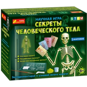 Набір для дослідження Ranok-Creative Анатомія. скелет людини, рус. (300642)