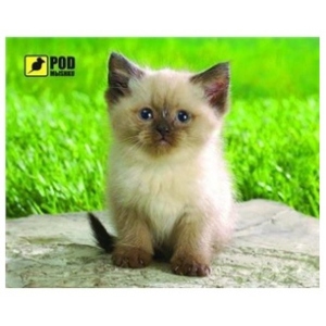 Килимок для миші PODMЫSHKU Сіамський котик