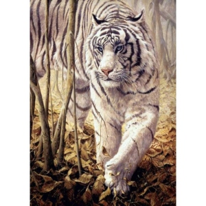 Алмазний живопис Strateg Білий тигр 30х40 см (GD86104)