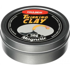Розумний пластилін Paulinda Thinking Clay Магнитный Фиолетовый 30 г (PL-170605)