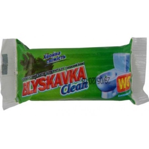 Туалетний блок BLYSKAVKA Хвойна свіжість (4820055140966)