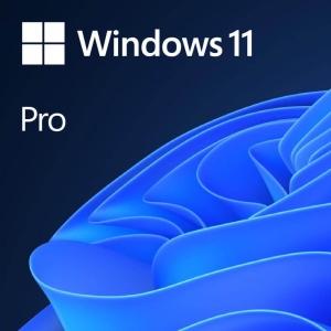 Операційна система "Windows 11 Pro 64-bit Onln DwnLd"