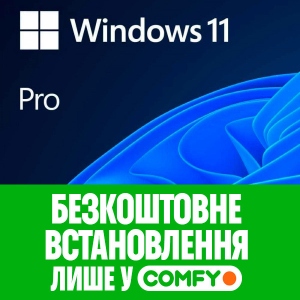 Windows 11 Pro 64-Bit online