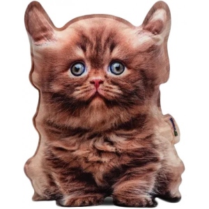 М'яка іграшка подушка Surpriziki Stuffed Toy Британський Рудий Кошеня (PT3D-04)