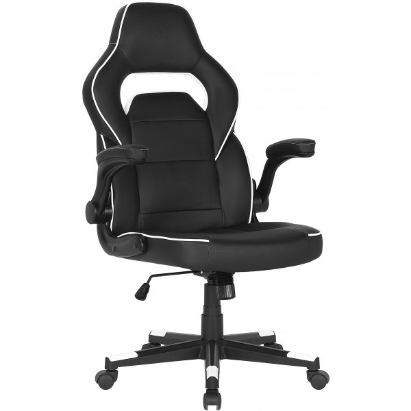 Крісло для геймерів 2E Hebi Black/White (2E-GC-HEB-BKWT)