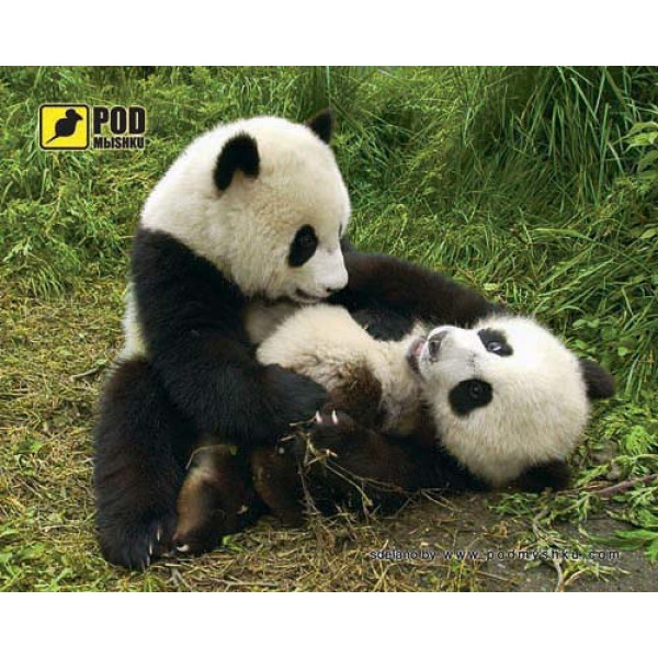Килимок для миші PODMЫSHKU Панды, пластик