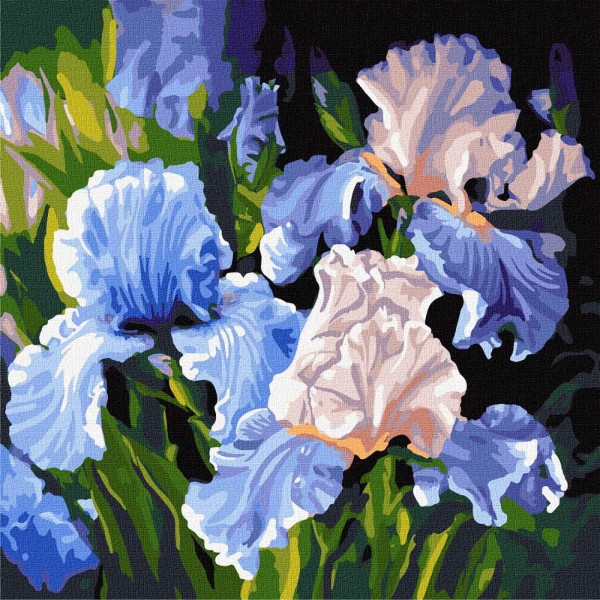 Картина за номерами Ideyka "Яскраві іриси" 40*40см (KHO3190)